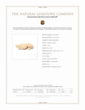 94.47 Ct. Salmon and White Coral from Italy Scan Report