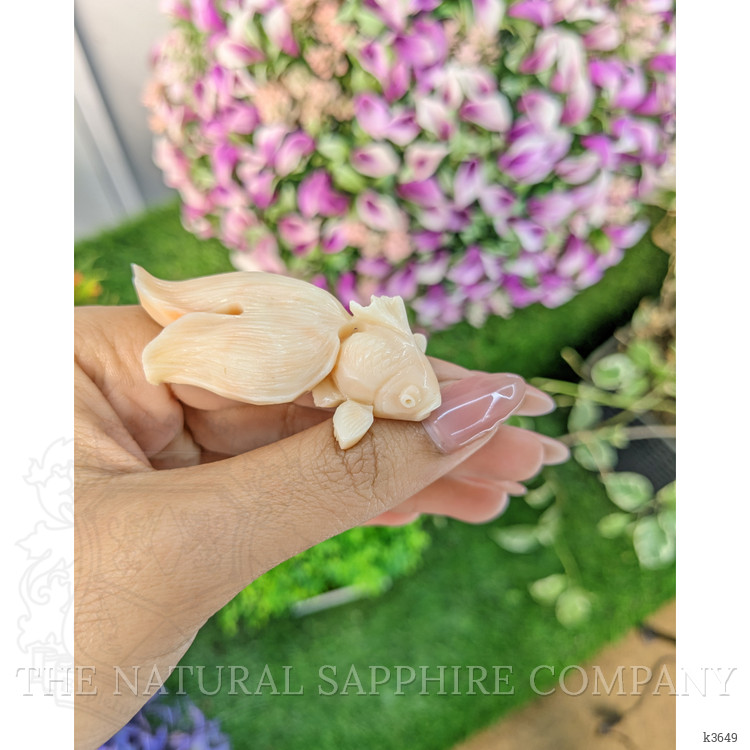 94.47 Ct. Coral from Italy