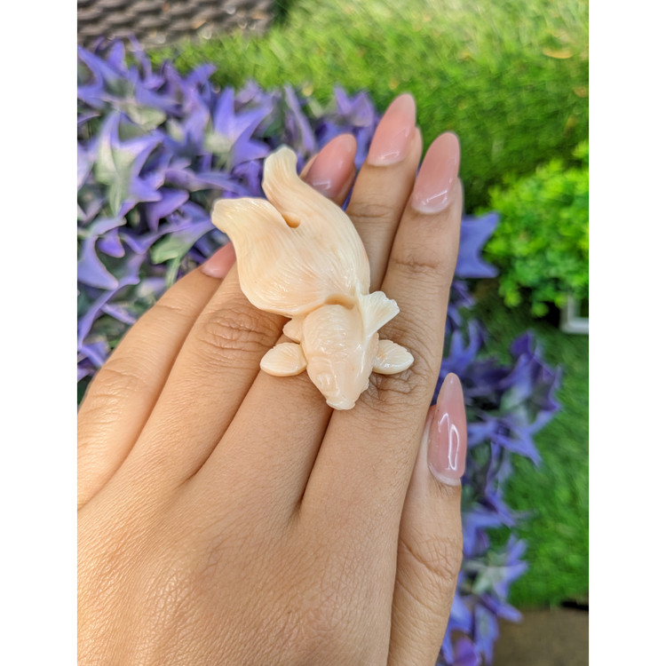 94.47 Ct. Coral from Italy