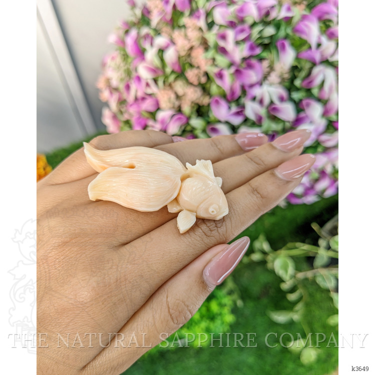 94.47 Ct. Coral from Italy