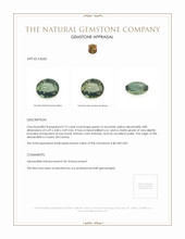 0.73 Ct. Alexandrite from Ceylon (Sri Lanka) Appraisal
