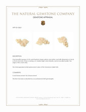 41.83 Ct. Coral from Italy Appraisal