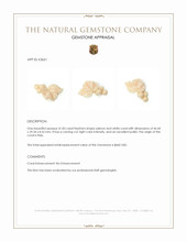 41.83 Ct. Coral from Italy Appraisal