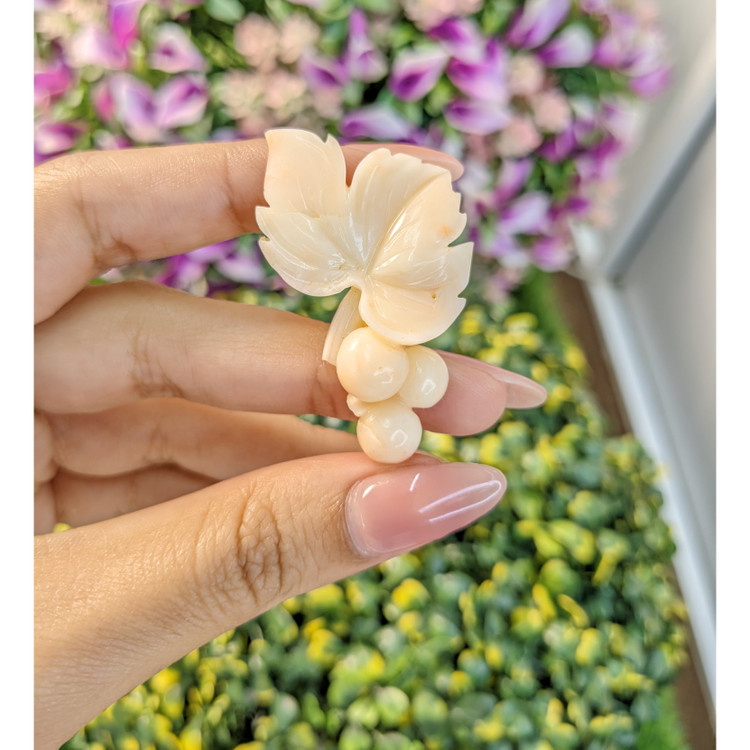 41.83 Ct. Coral from Italy