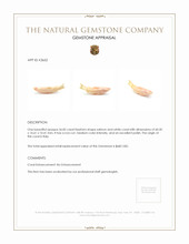 56.82 Ct. Coral from Italy Appraisal