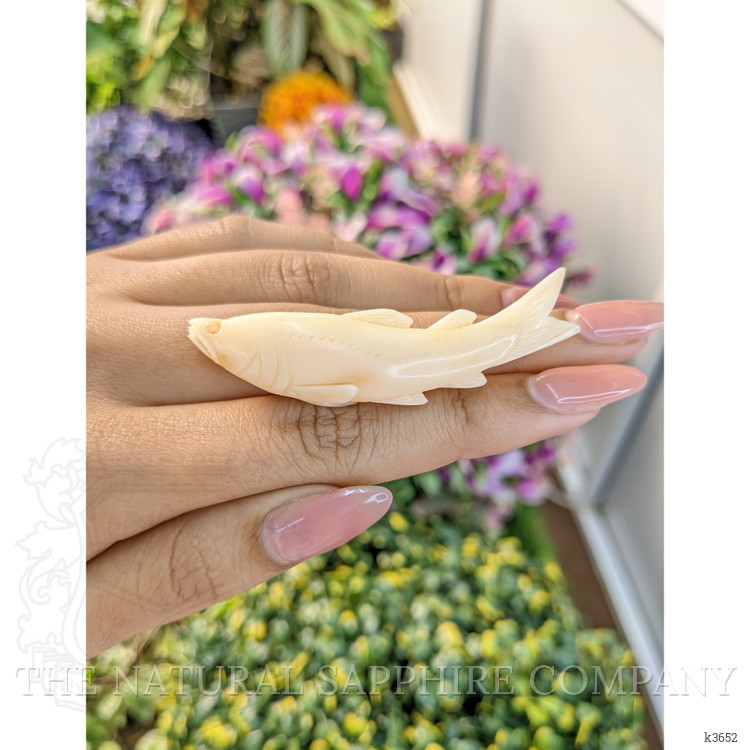 56.82 Ct. Coral from Italy