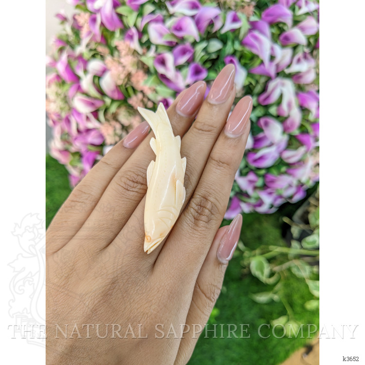 56.82 Ct. Coral from Italy