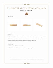 12.60 Ct. Coral from Italy Appraisal