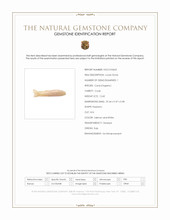 12.60 Ct. Coral from Italy Scan Report