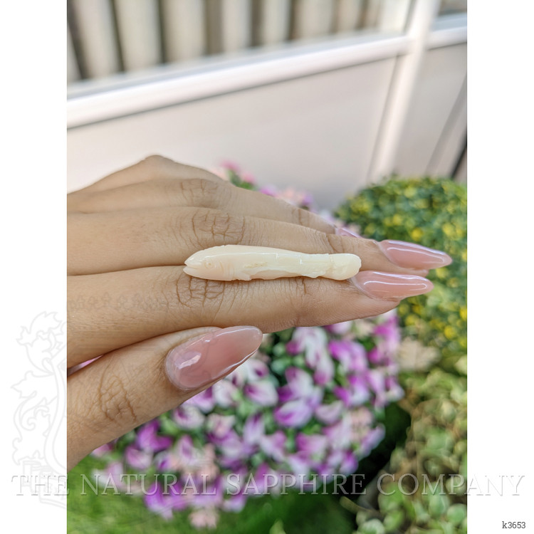 12.60 Ct. Coral from Italy