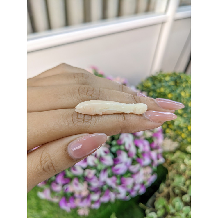 12.60 Ct. Coral from Italy