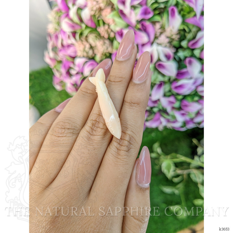 12.60 Ct. Coral from Italy