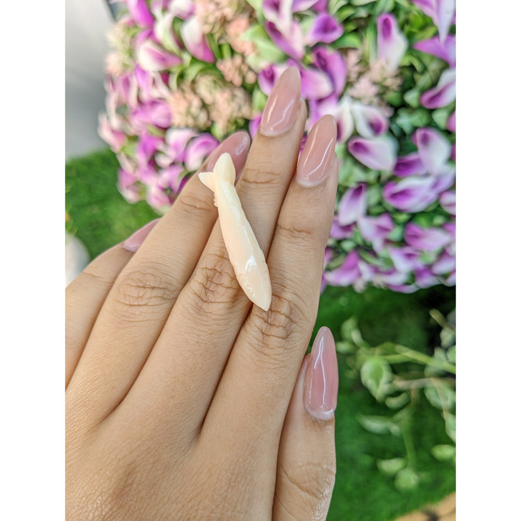 12.60 Ct. Coral from Italy