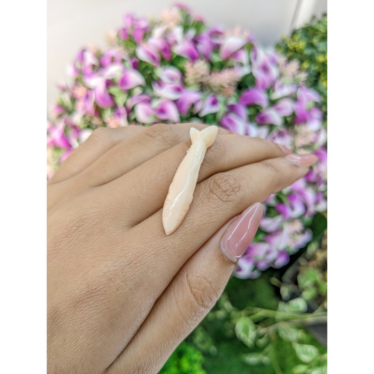 12.60 Ct. Coral from Italy