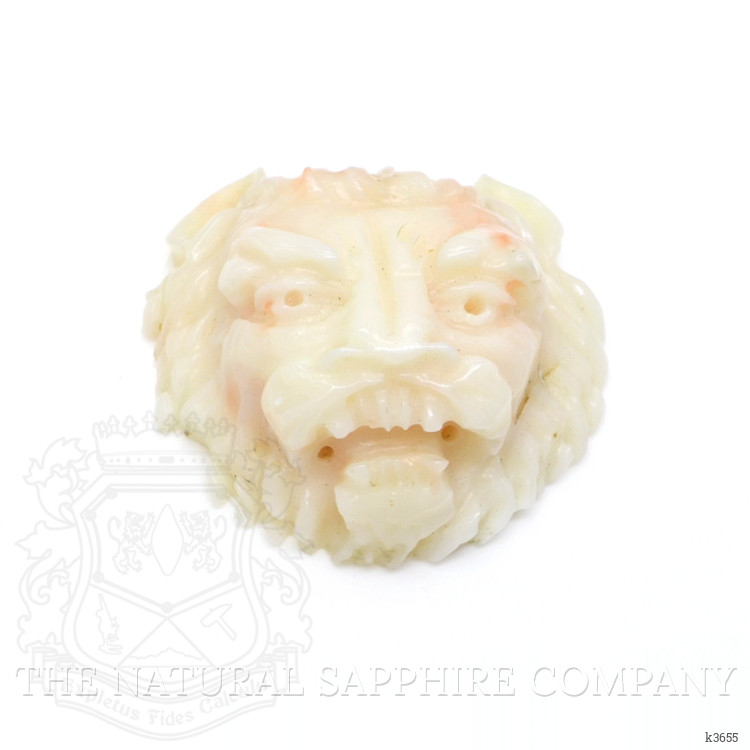 48.91 Ct. Coral from Italy