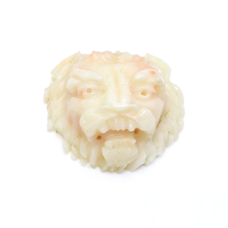 48.91 Ct. Coral from Italy