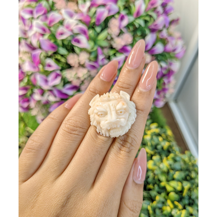 48.91 Ct. Coral from Italy