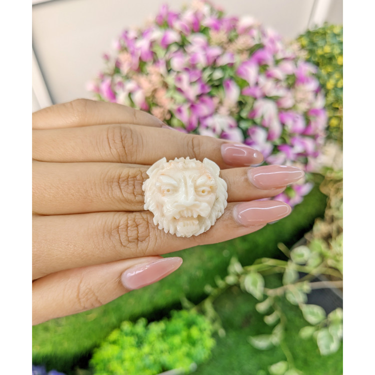 48.91 Ct. Coral from Italy