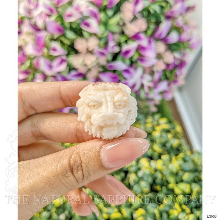 48.91 Ct. Coral from Italy