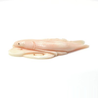 55.86 Ct. Coral from Italy Video