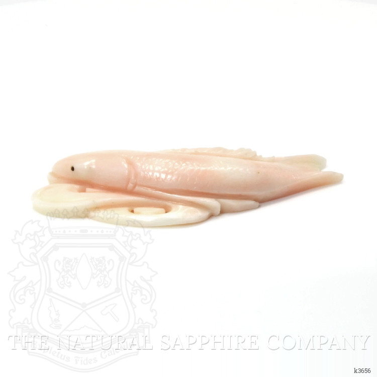 55.86 Ct. Coral from Italy