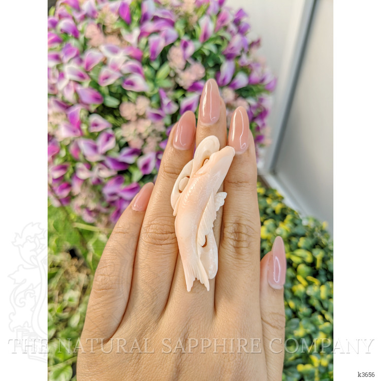 55.86 Ct. Coral from Italy