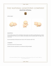 24.29 Ct. Coral from Italy Appraisal