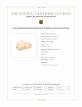 24.29 Ct. Coral from Italy Scan Report