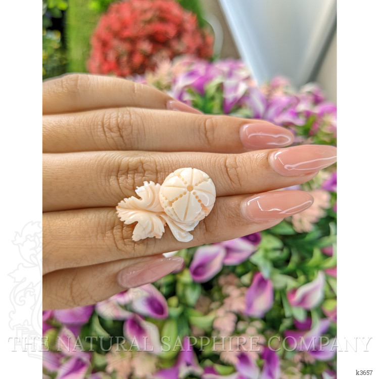 24.29 Ct. Coral from Italy