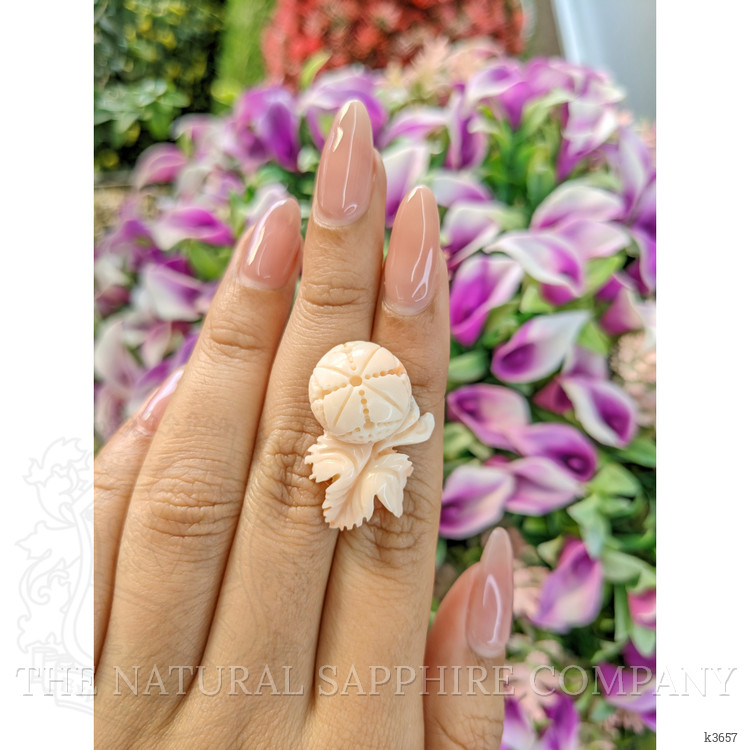 24.29 Ct. Coral from Italy