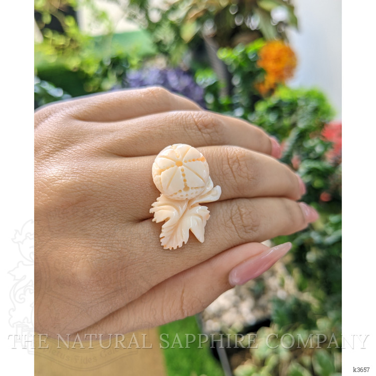 24.29 Ct. Coral from Italy