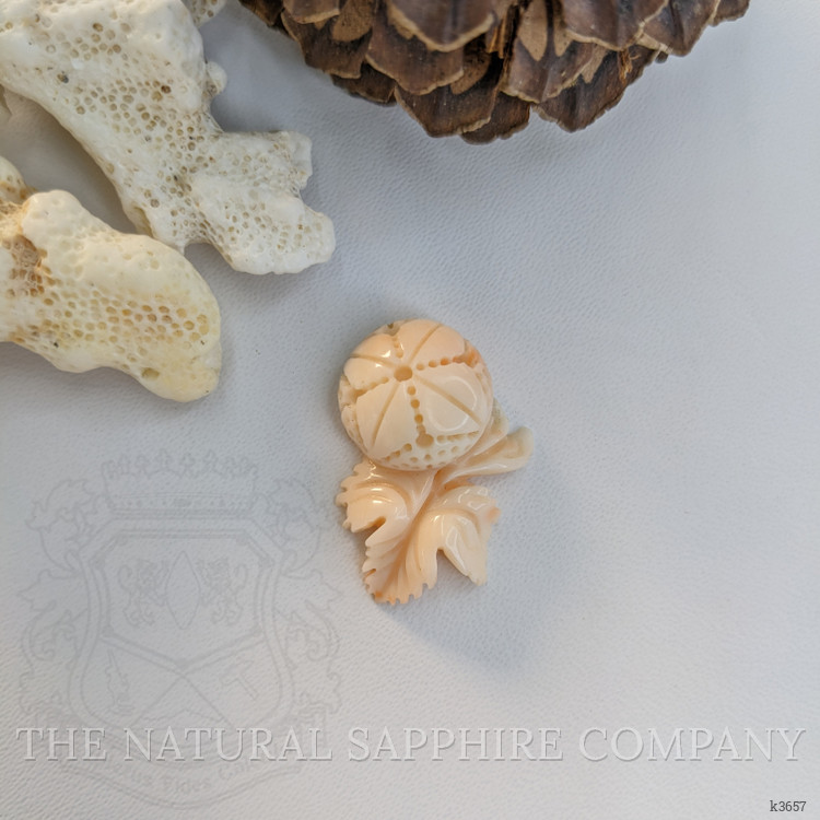 24.29 Ct. Coral from Italy