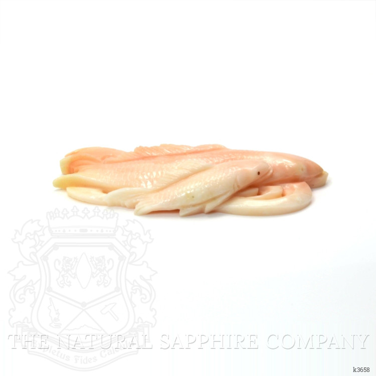 82.64 Ct. Coral from Italy