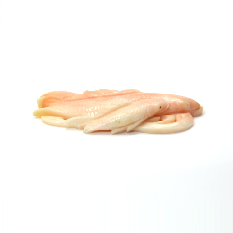 82.64 Ct. Coral from Italy