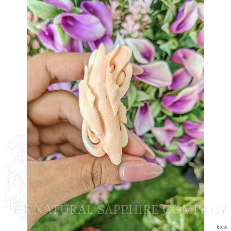 82.64 Ct. Coral from Italy