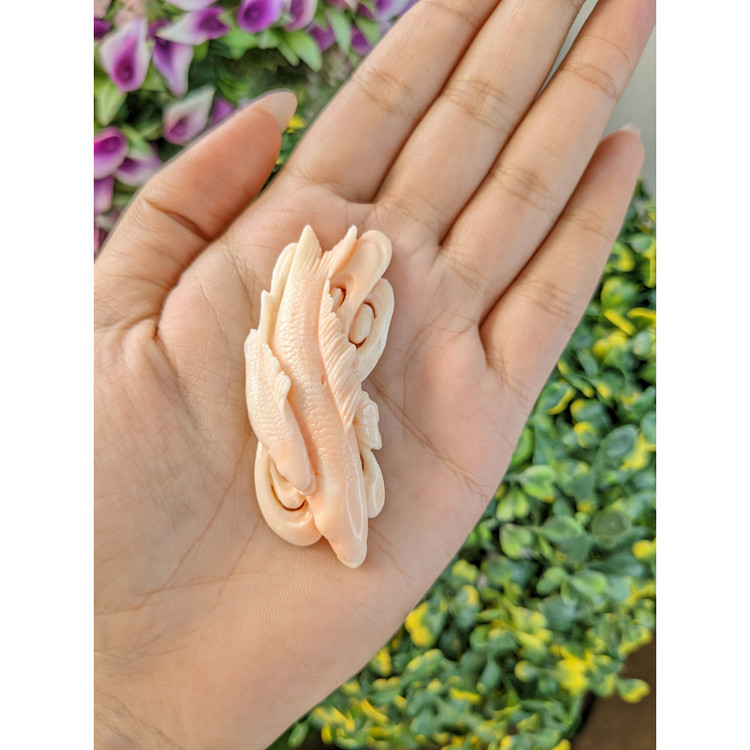 82.64 Ct. Coral from Italy