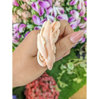 82.64 Ct. Coral from Italy Life Style