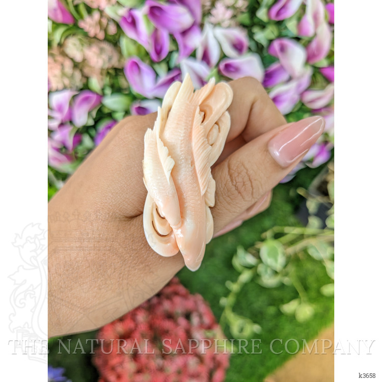 82.64 Ct. Coral from Italy