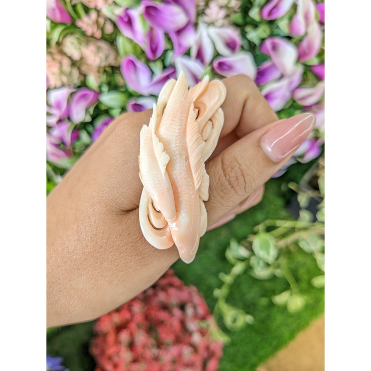 82.64 Ct. Coral from Italy