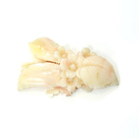 81.84 Ct. Coral from Italy Video