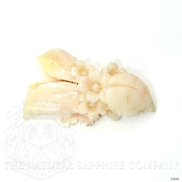 81.84 Ct. Coral from Italy