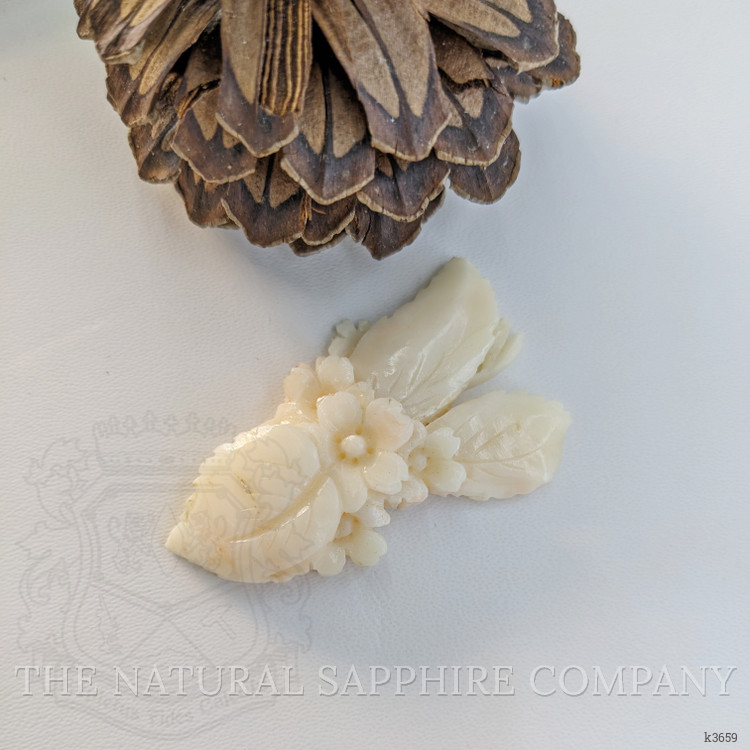 81.84 Ct. Coral from Italy