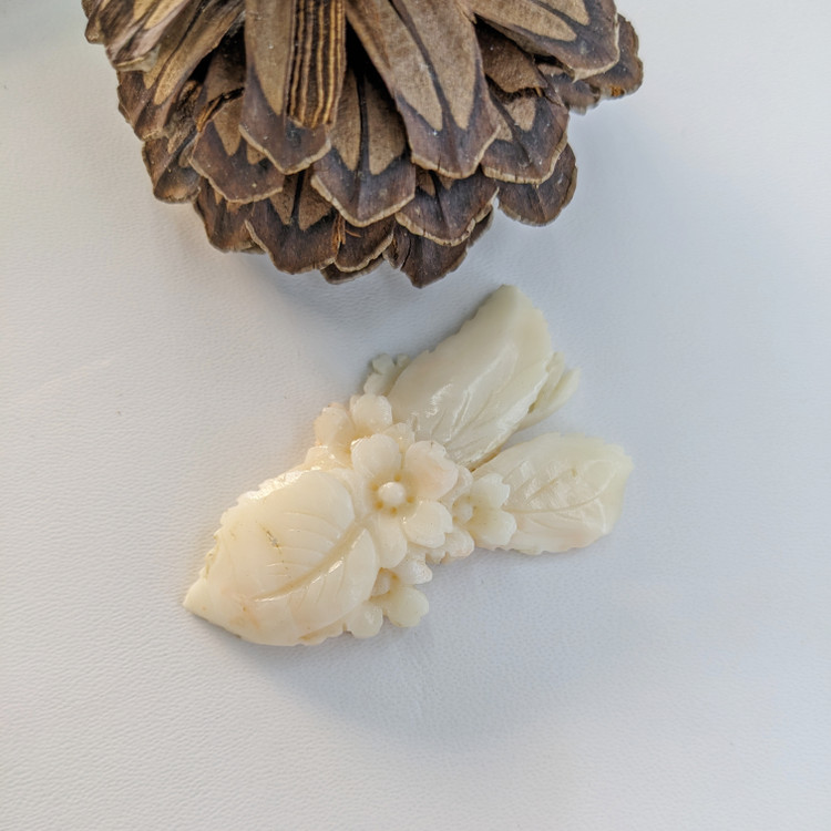 81.84 Ct. Coral from Italy