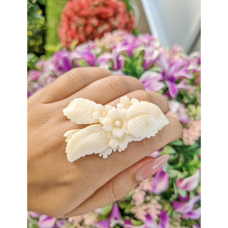 81.84 Ct. Coral from Italy