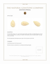 12.11 Ct. Coral from Italy Appraisal