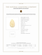 12.11 Ct. Coral from Italy Scan Report