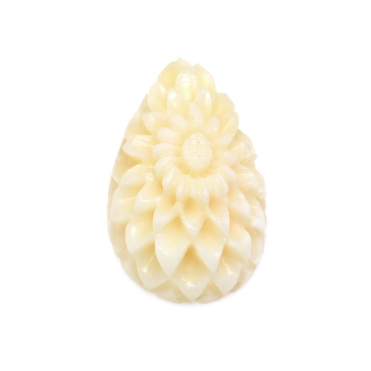 12.11 Ct. Coral from Italy