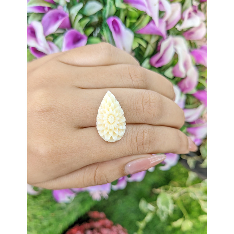 12.11 Ct. Coral from Italy