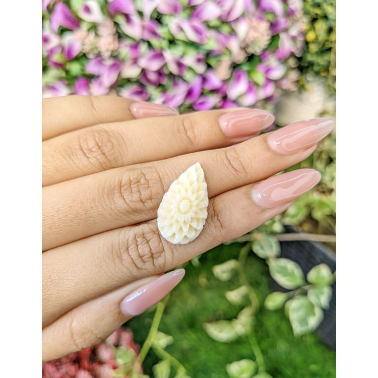 12.11 Ct. Coral from Italy