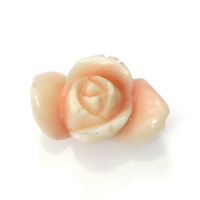 15.78 Ct. Coral from Italy Video